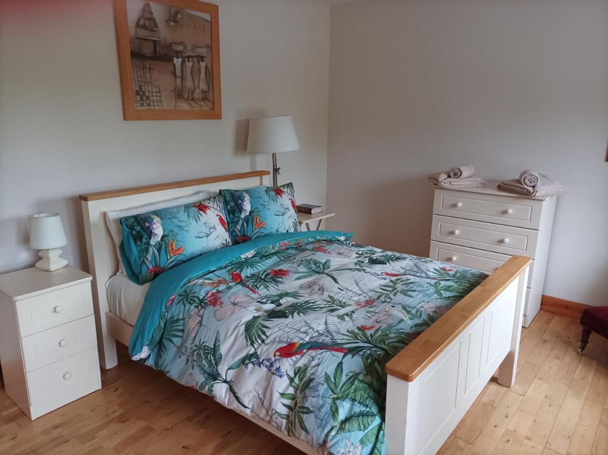 Country Lane Homestay Westport Extérieur photo
